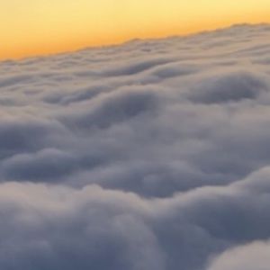 Meet your Posher, Sav